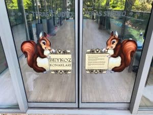 Cam Giydirme Örnekleri